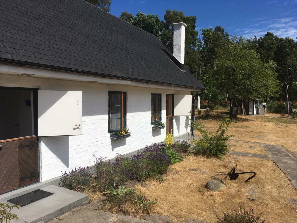 Sandhammaren ,Skane Löderup Dış mekan fotoğraf